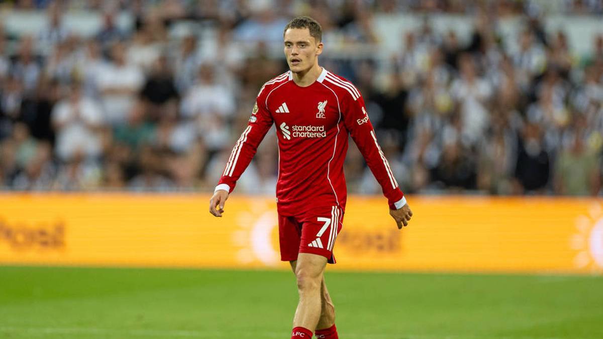 Florian Wirtz switched to FC Liverpool for a record sum in summer