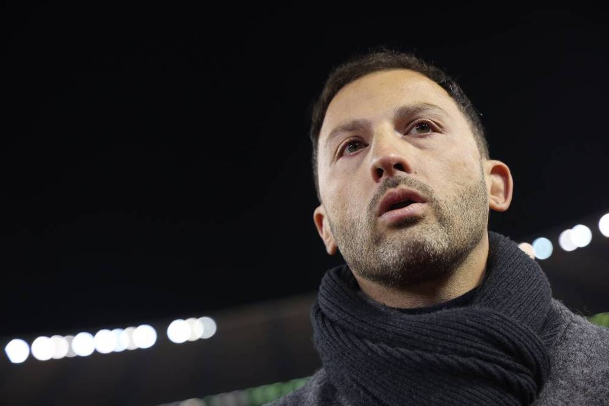 Former Schalke coach Domenico Tedesco succeeds José Mourinho at Fenerbahce Istanbul.