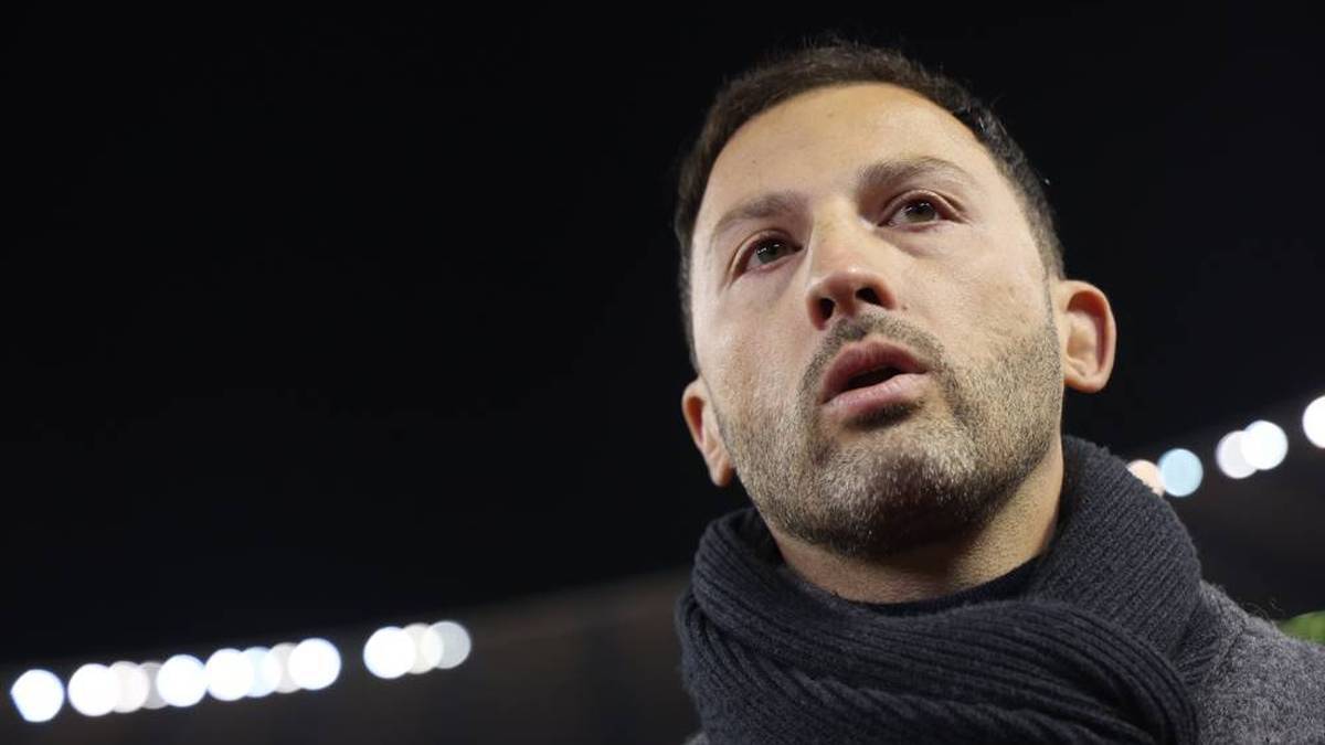 Domenico Tedesco Last Worked as Belgian National Coach
