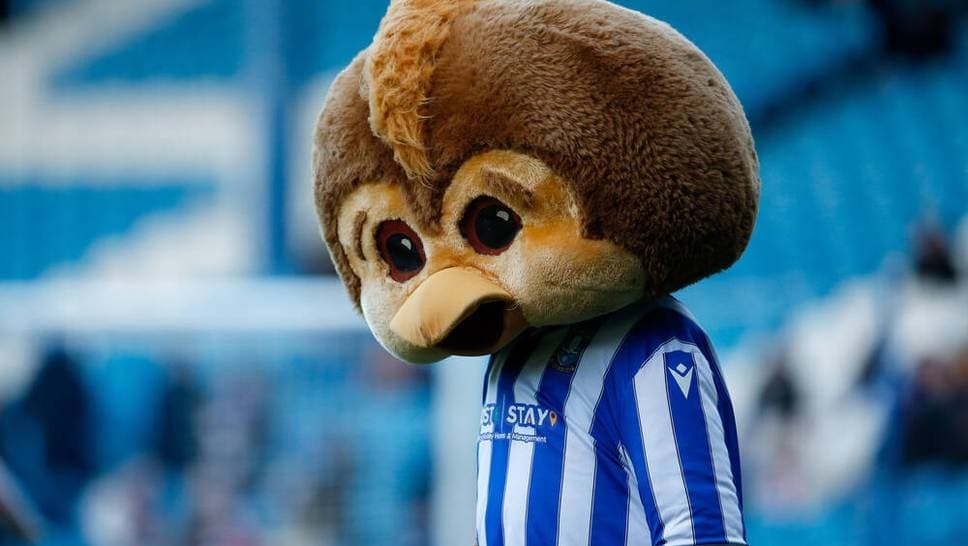 Sheffield Wednesday (mascot Ozzy Owl pictured) has filed for bankruptcy