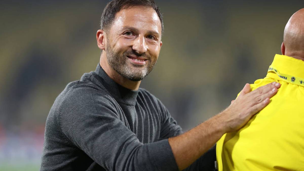 Domenico Tedesco has been the coach of Fenerbahçe since the beginning of September